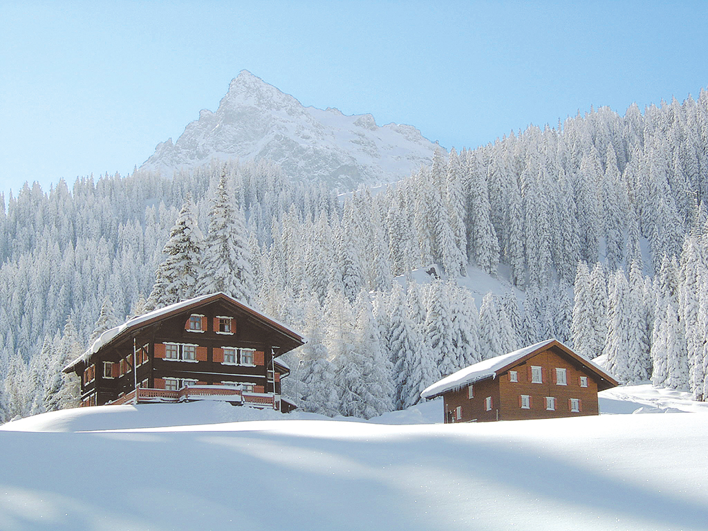 Chalet 15-25 Pers. Ferienhaus  Vorarlberg