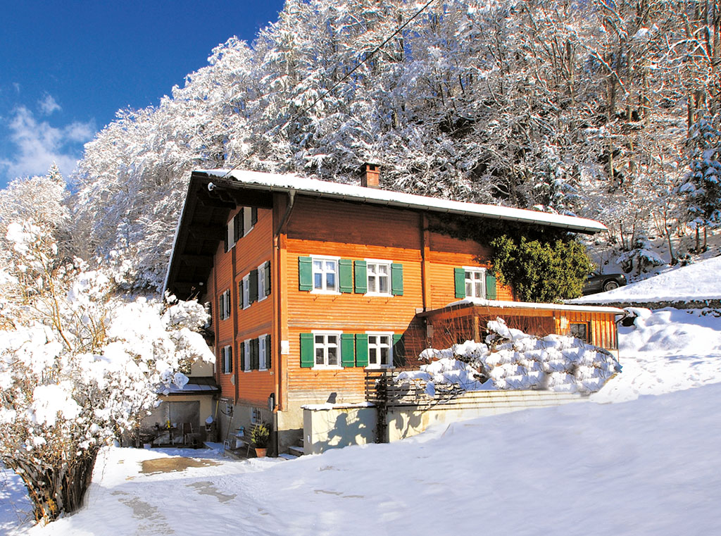 Ferienhaus 10-16 Pers. Ferienhaus  Montafon