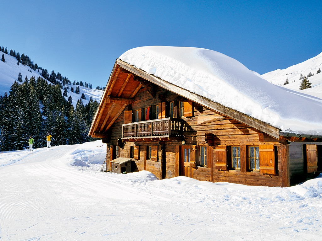 Skihütte 4-12 Pers. Ferienhaus in der Schweiz