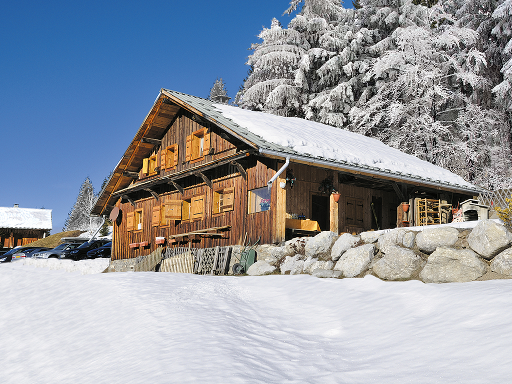 Chalet 3-10 Pers. Ferienhaus in Frankreich